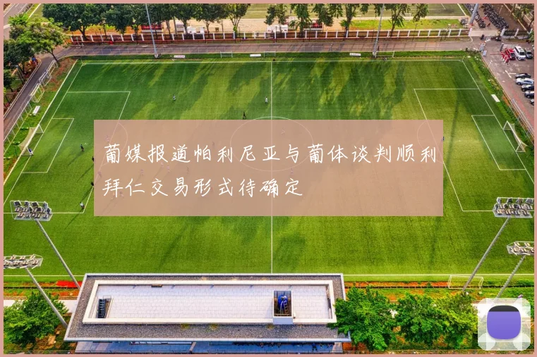 葡媒报道帕利尼亚与葡体谈判顺利拜仁交易形式待确定