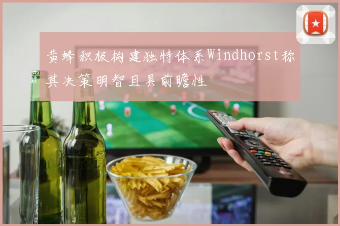 黄蜂积极构建独特体系Windhorst称其决策明智且具前瞻性