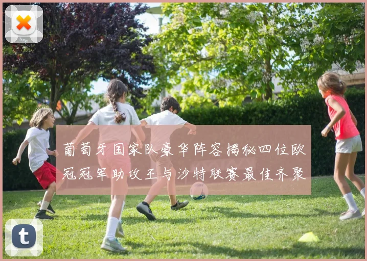 葡萄牙国家队豪华阵容揭秘四位欧冠冠军助攻王与沙特联赛最佳齐聚一堂